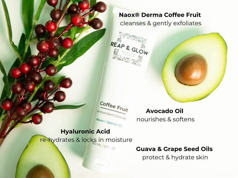Coffee Fruit Antioxidant Cleanser + Turmeric Peptide Firming & Smoothing Serum