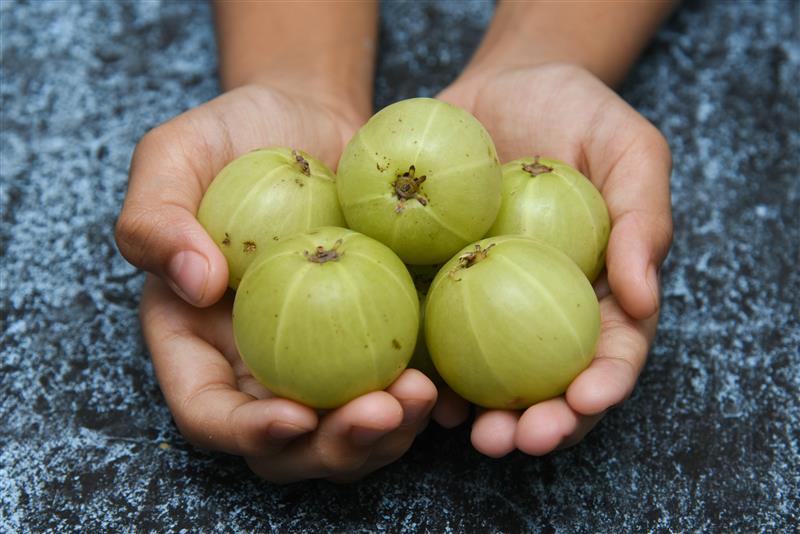 Discover the Youthful Skin-Restoring Power of Amla Berry Extract