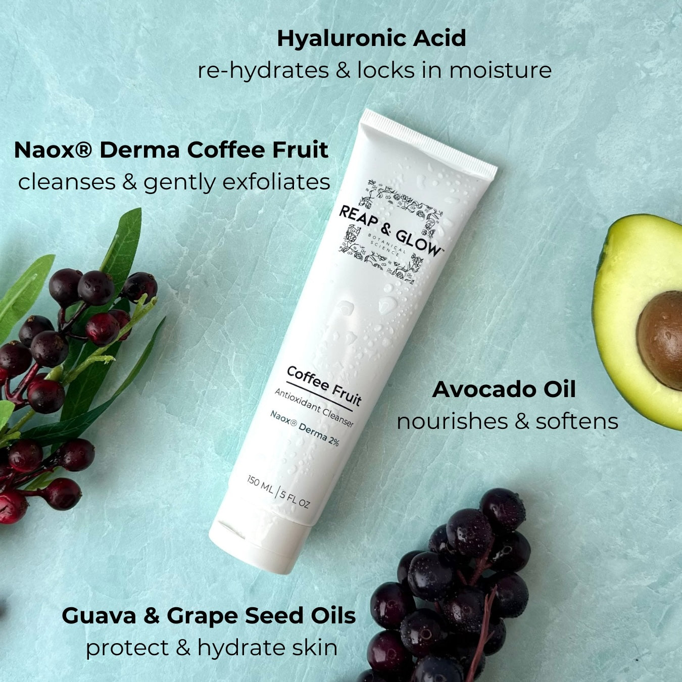 Coffee Fruit Antioxidant Cleanser
